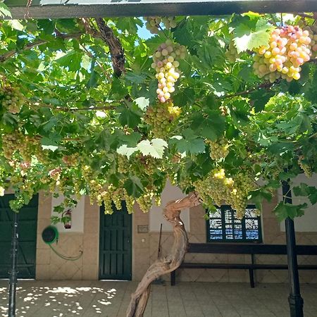 Casa Rural La Del Alba Seria Argamasilla de Alba Kültér fotó