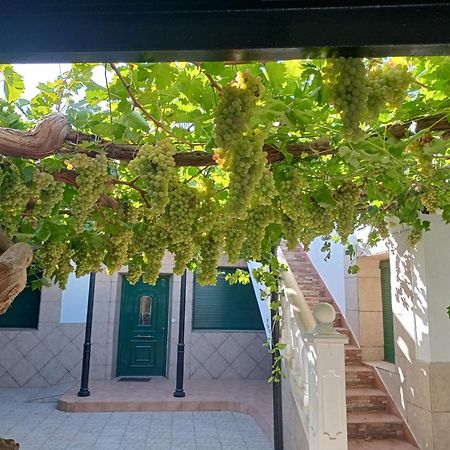 Casa Rural La Del Alba Seria Argamasilla de Alba Kültér fotó