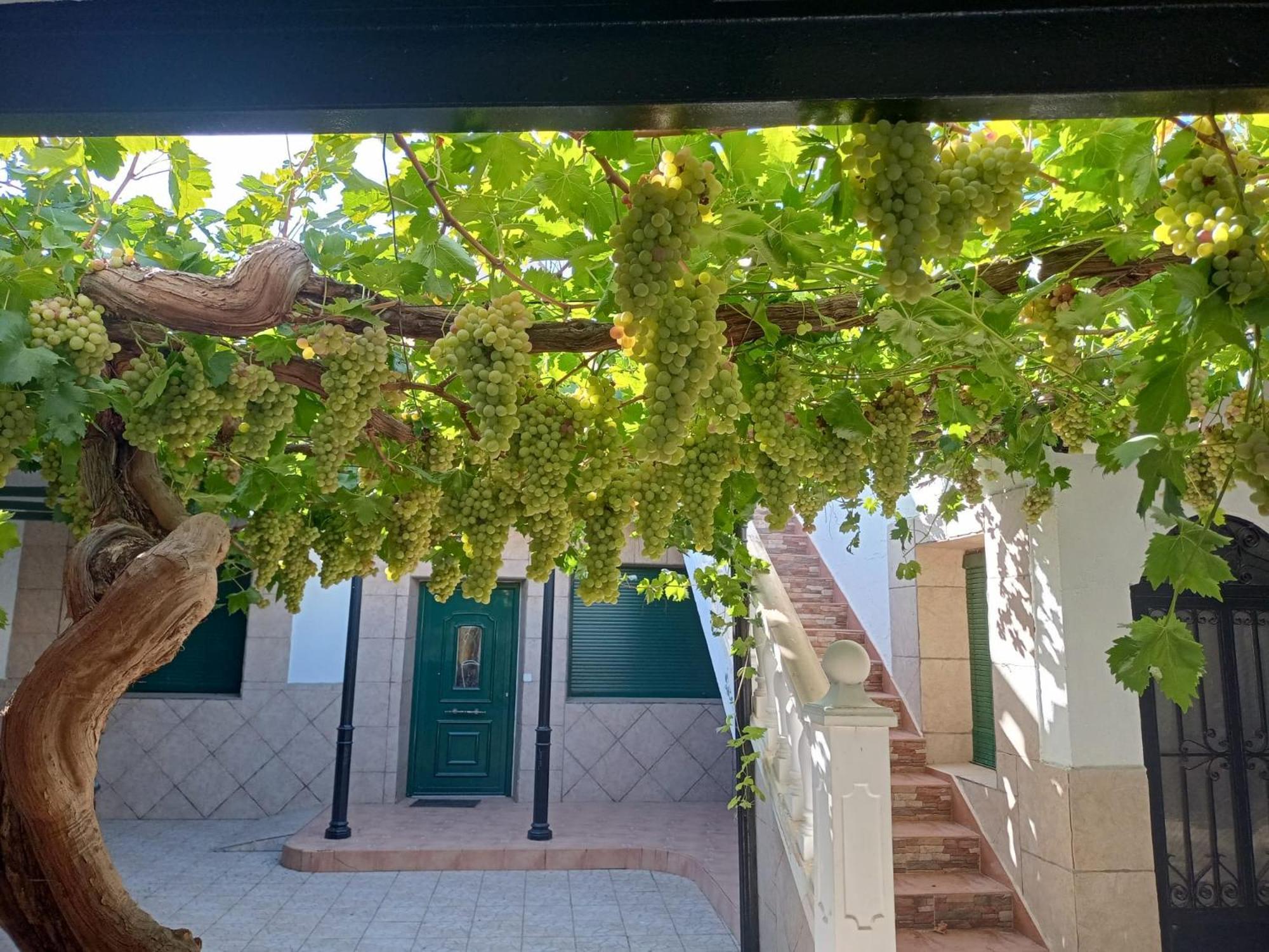 Casa Rural La Del Alba Seria Argamasilla de Alba Kültér fotó